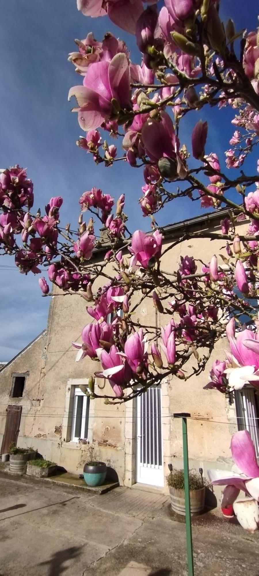 Gite L'Esprit Nature Villa Naucelle Esterno foto